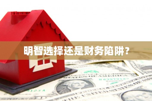明光明智选择还是财务陷阱？