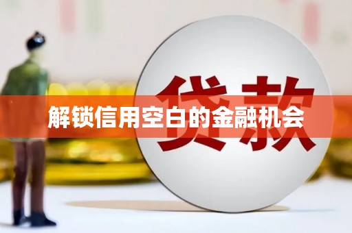 石排解锁信用空白的金融机会
