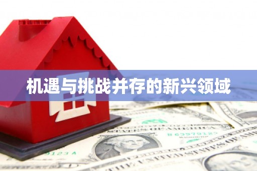 普陀机遇与挑战并存的新兴领域