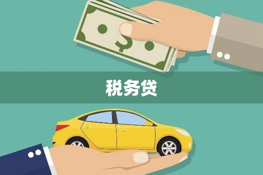 武进税务贷
