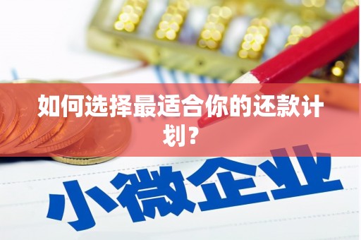 海盐如何选择最适合你的还款计划？