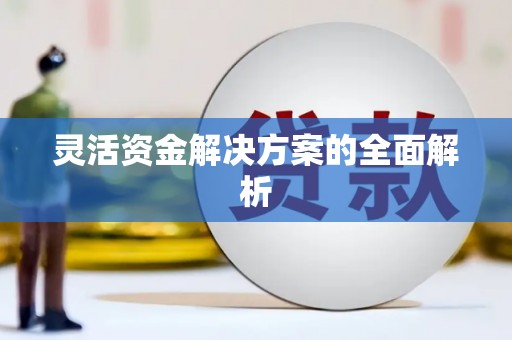 岱山灵活资金解决方案的全面解析
