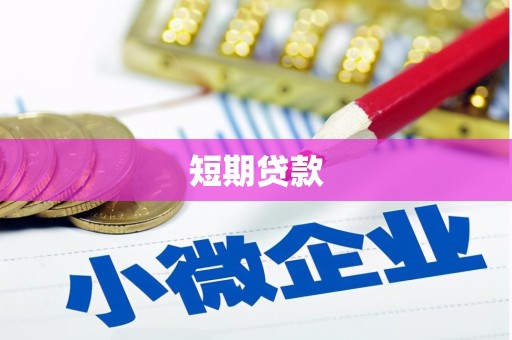 大厂短期贷款