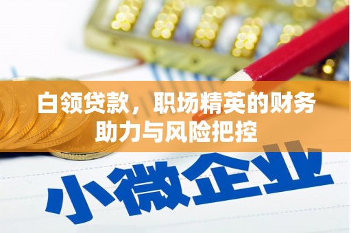 呼伦贝尔白领贷款,职场精英的财务助力与风险把控 呼伦贝尔白领贷款,职场精英的财务助力与风险把控
